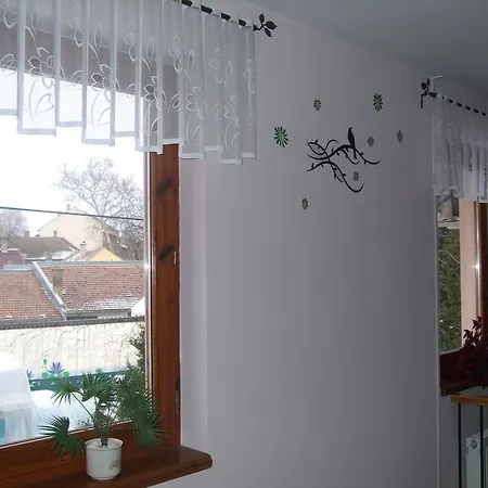 Timarhaz Panzio Bed & Breakfast *
